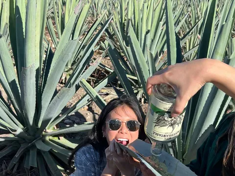 The Mezcal Journey — photo 1