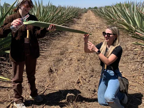 The Mezcal Journey — photo 3